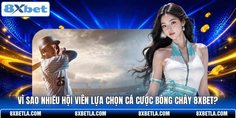 Vì sao nhiều hội viên lựa chọn cá cược bóng chày 8XBET?